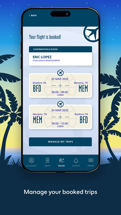 Southern Airways Screenshot