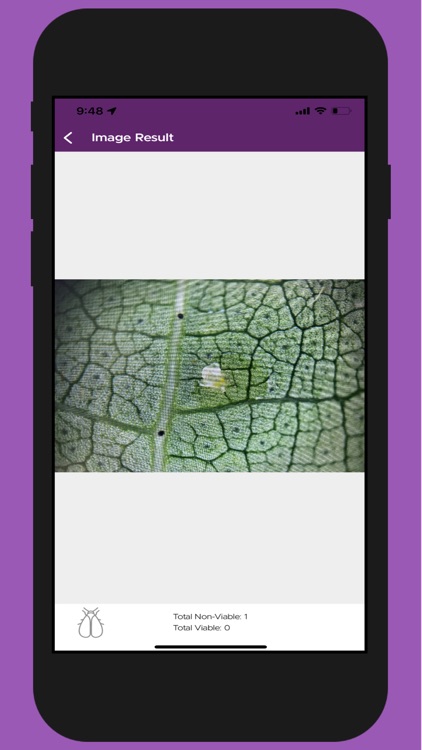 PestDetect for Cotton screenshot-7