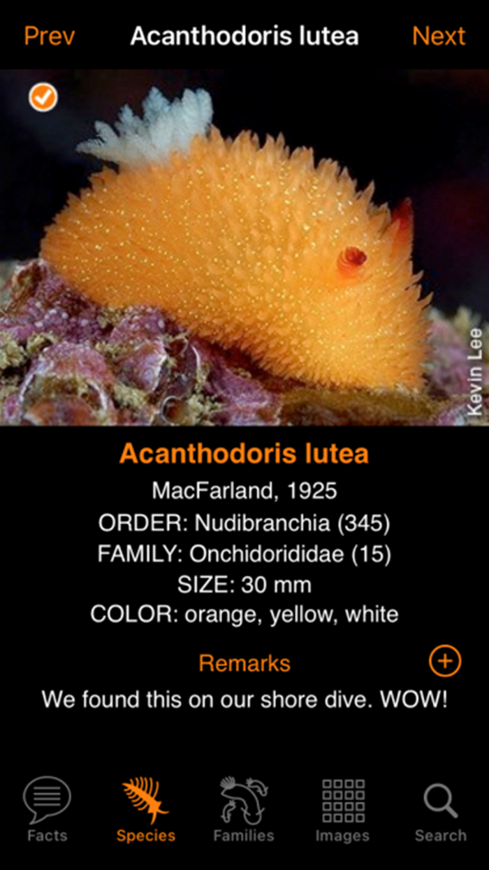 Nudibranch ID Eastern Pacific