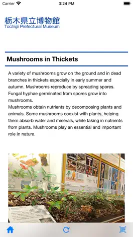 Game screenshot TochihakuNavi hack