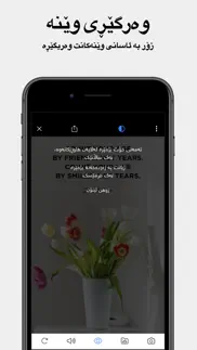 rebin dict plus - kurdish iphone screenshot 3