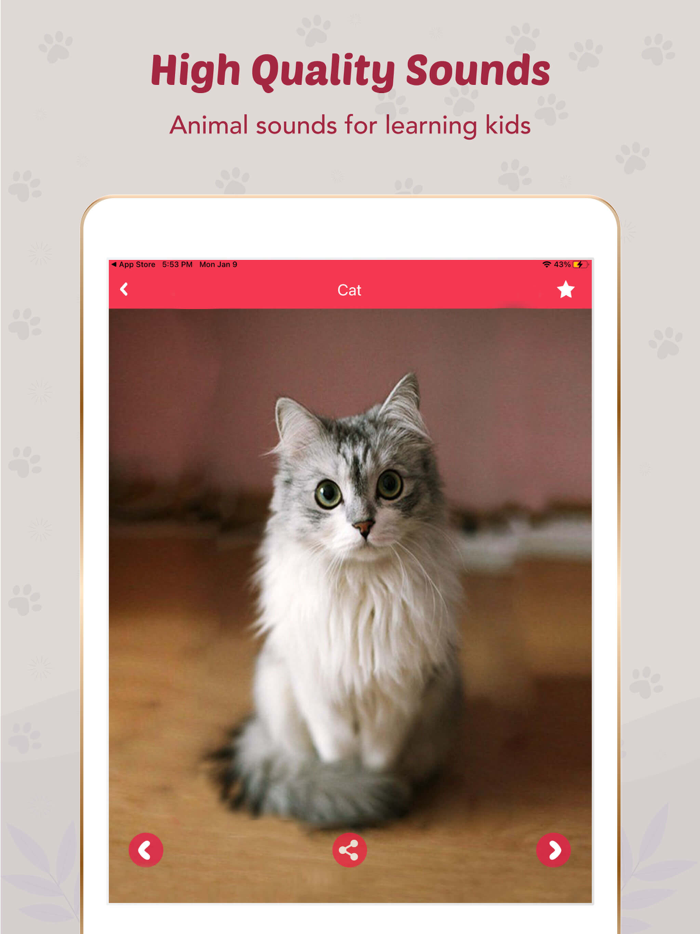 Animal Sounds for Kids.