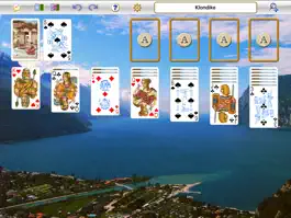 Game screenshot BigPatience HD Lite mod apk