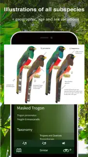 all birds ecuador field guide iphone screenshot 3