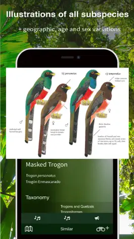 Game screenshot All Birds Ecuador field guide hack