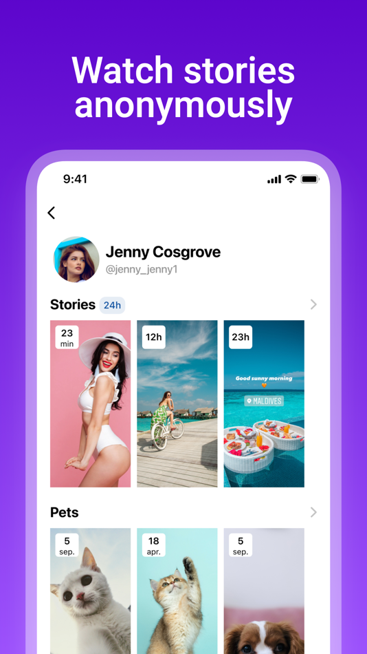 #2. Instory: Story saver, viewer (iOS) Podle: Laura Zagaeva
