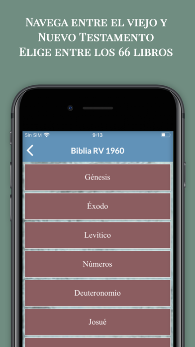 Estudio de la Biblia RV 1960 Screenshot