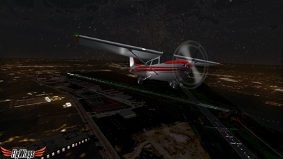 Flight Simulator Night Fly Screenshot