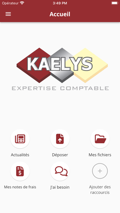 Kaelys Expertise Comptable Screenshot
