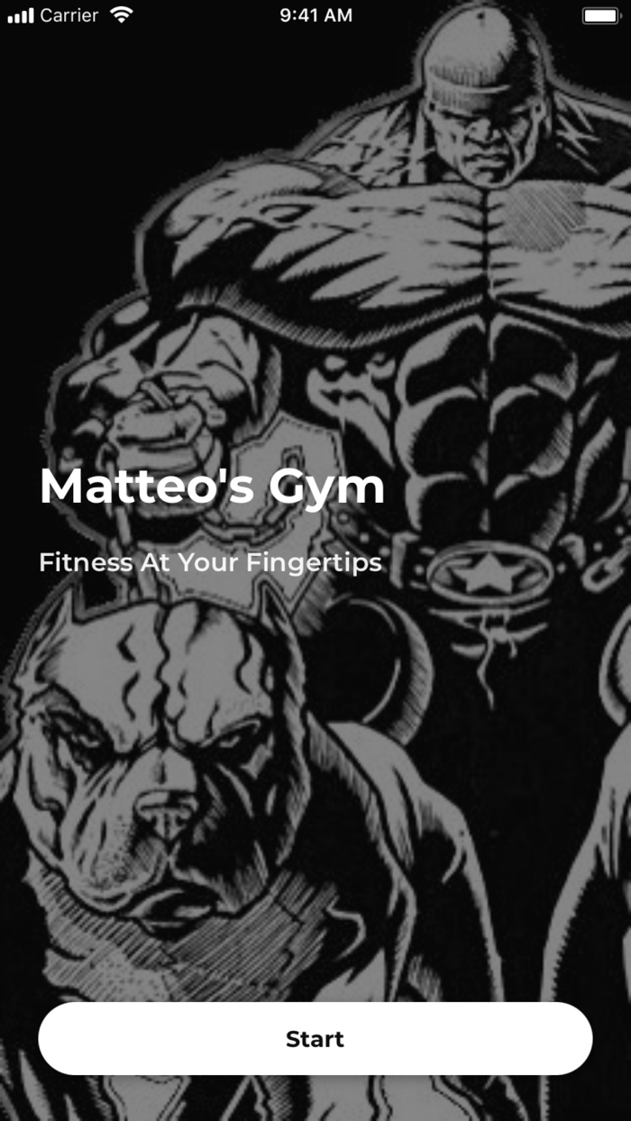 Matteos Gym and Spa LLC