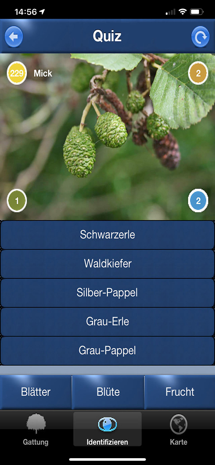 Baum Id Schweiz - Naturführer