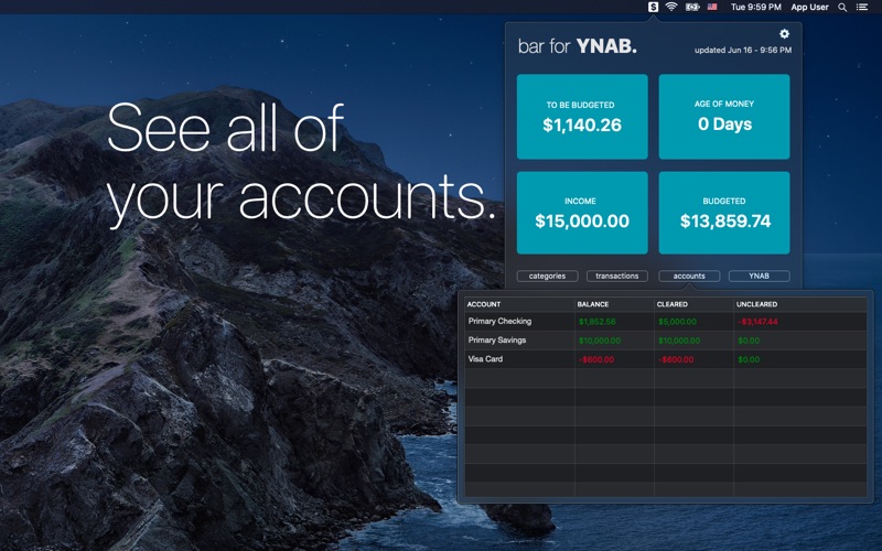 bar for YNAB Screenshot