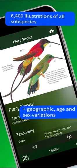 Game screenshot All Birds North. South America hack