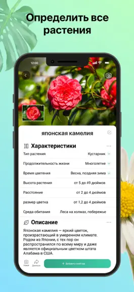 Game screenshot PictureThis: Цветы и деревья apk