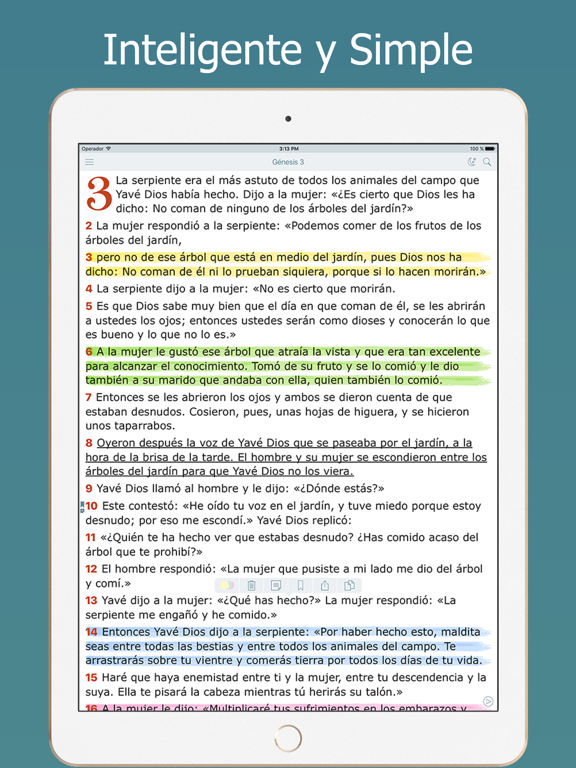Screenshot #5 pour La Biblia Latinoamericana