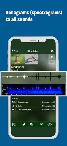 Game screenshot BIRD SONGS Europe North Africa hack