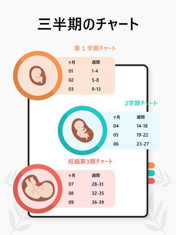 妊娠 計算 毎週 - ベビーカレンダーとトラッカーのおすすめ画像3
