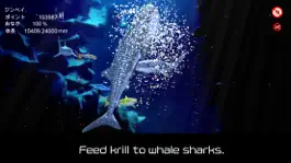 Game screenshot whale shark that grows calmly apk