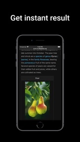 Identificador de fruta: ID screenshot