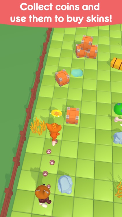 Cat & Dog Runaway screenshot-3