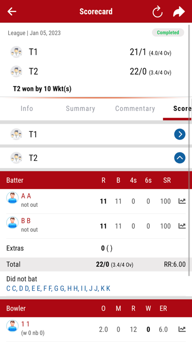 Bahrain Cricket Screenshot