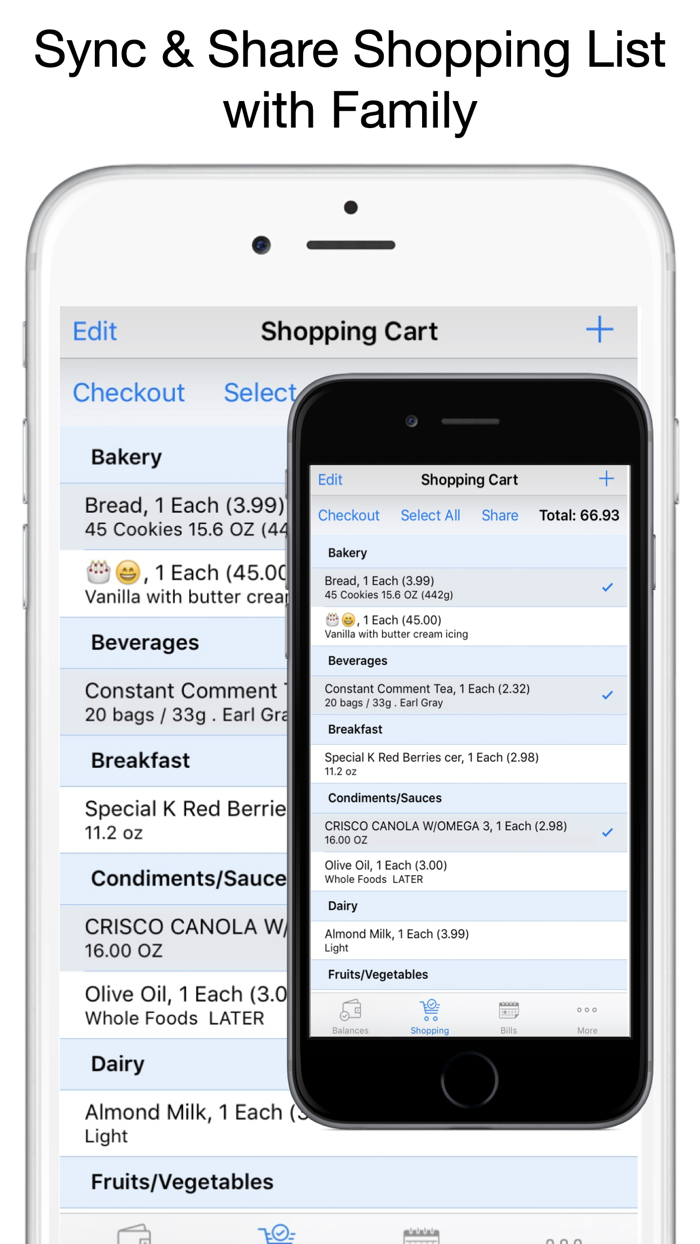Expense Scout Expense Planner