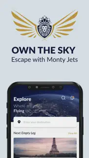 monty jets: own the skies iphone screenshot 3