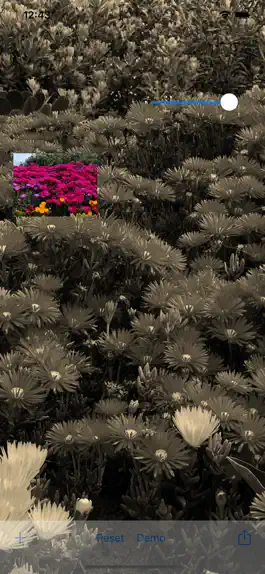 Game screenshot iOldPhoto Pro - Sepia Toning mod apk