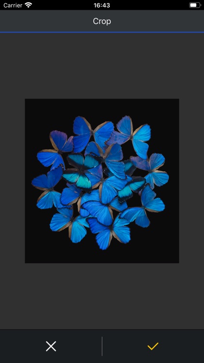 Epson Print Layout screenshot-4