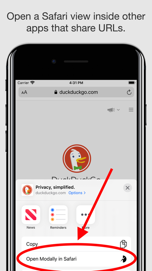 #1. Sidefari (iOS) 由: Francisco Cantu