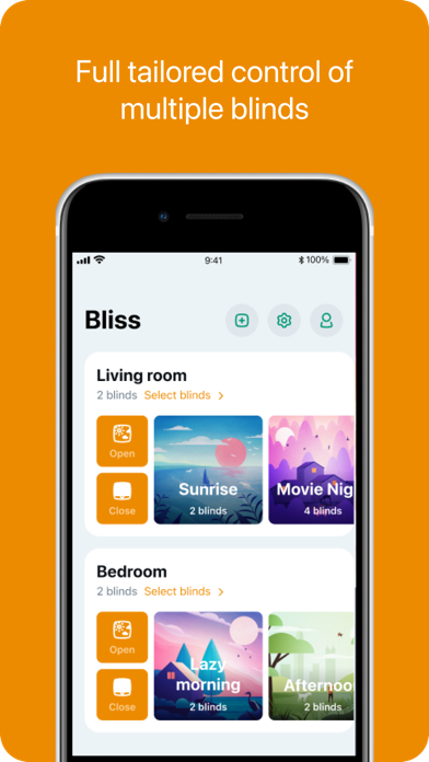 Bliss Smart Blinds Screenshot