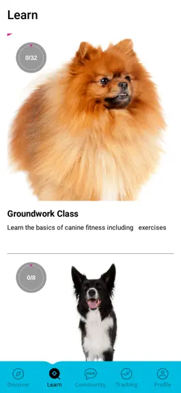 Game screenshot Canine Fitness App apk