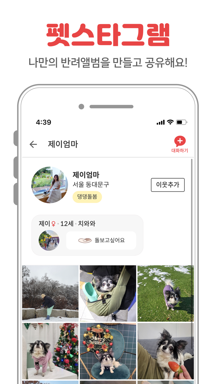 펫시터 산책 방문탁묘 캣시터 애견호텔 반려동물 펫보험