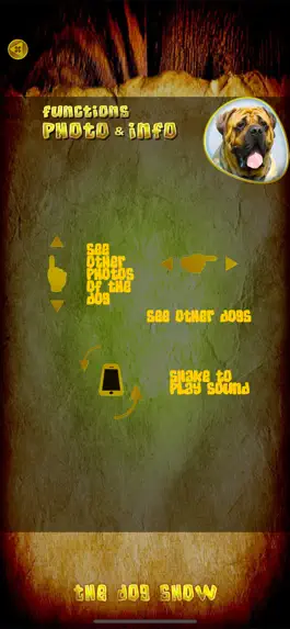 Game screenshot Animals 360 - The DogShow Gold apk