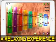i-xylophone ii hd full version ipad capturas de pantalla 2