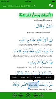 arabiyyah bayna yadayk 3: aby3 problems & solutions and troubleshooting guide - 3