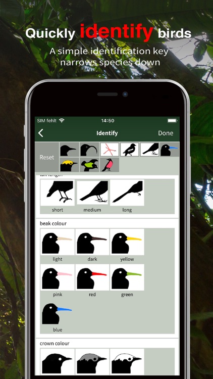 All Birds Ecuador field guide screenshot-5