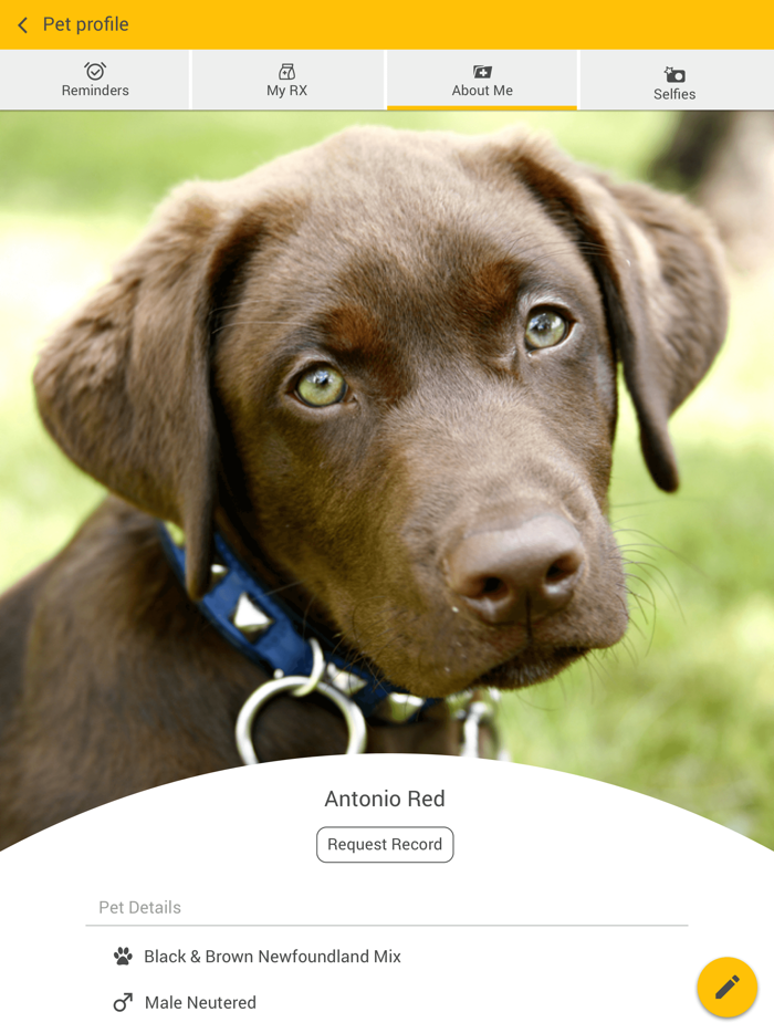 Rothman Animal Hospital