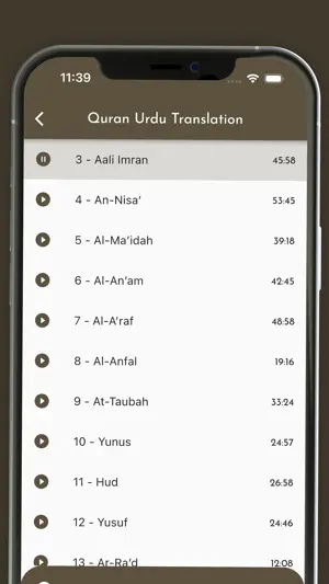 Quran Urdu Audio Translation screenshot 3