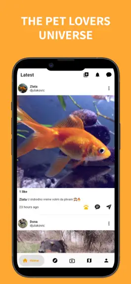 Game screenshot PetsMeet mod apk