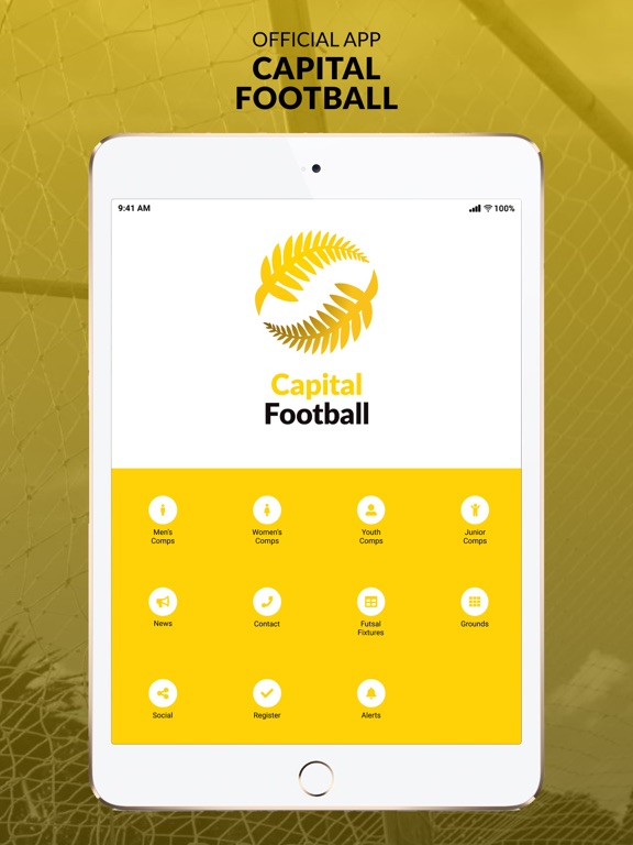 Screenshot #5 pour Capital Football