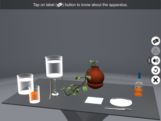 Screenshot #4 pour Chlorophyll & Photosynthesis