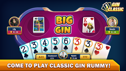 Gin Rummy - Offline Card Game Screenshot