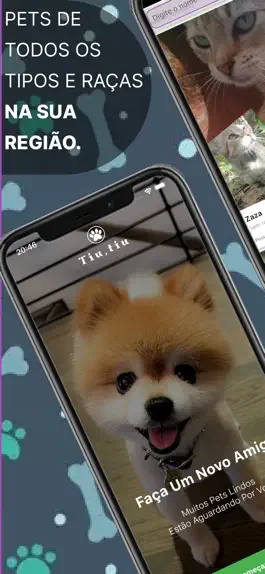 Game screenshot Tiutiu: Adoção de animais mod apk