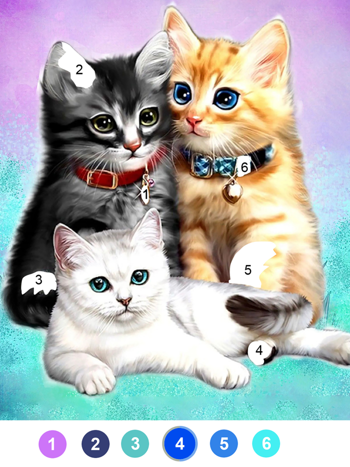 Fancy Color - Paint by Number