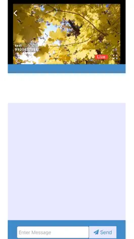 Game screenshot IDT Wizard Player apk