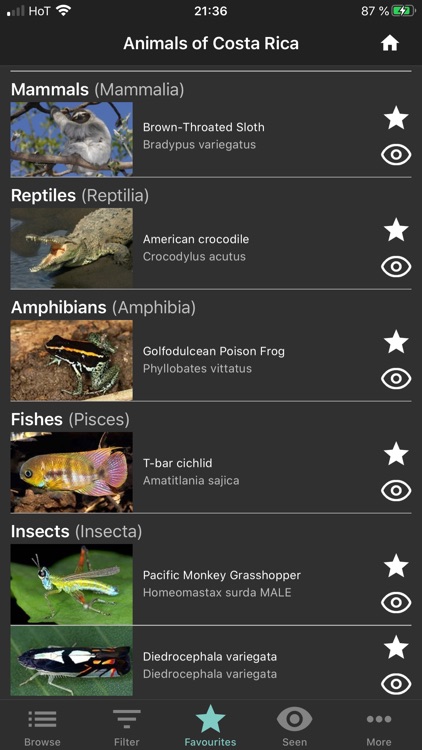 Animals of Costa Rica