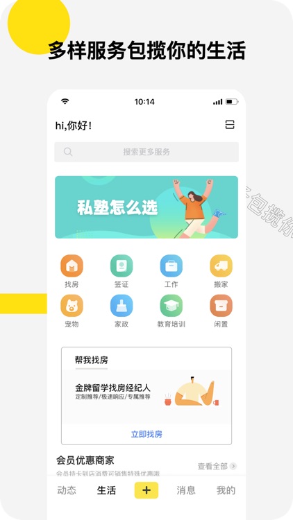 有猫 - 陪你一起留学