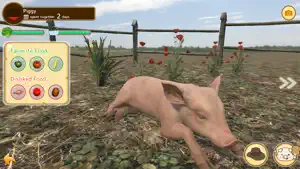 Piglet Garden screenshot 3