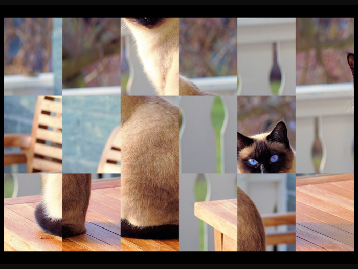 Adorable Cat Puzzles